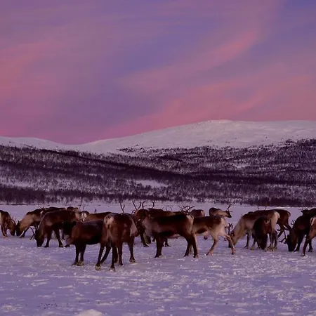 Prázdninový dům Kilpisjaerven Tunturimajat