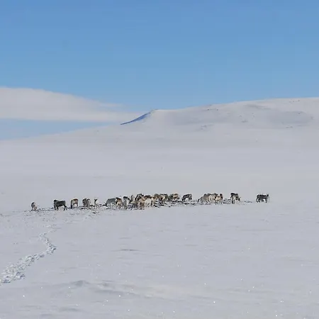 Prázdninový dům Kilpisjaerven Tunturimajat Kilpisjärvi