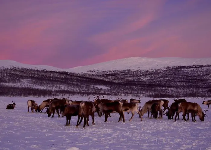 펜션 Kilpisjaerven Tunturimajat