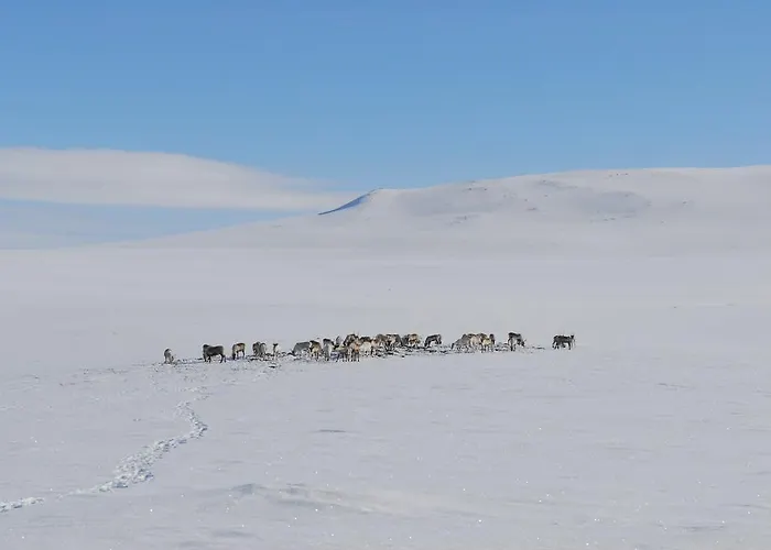 Vakantiehuis Kilpisjaerven Tunturimajat Kilpisjärvi